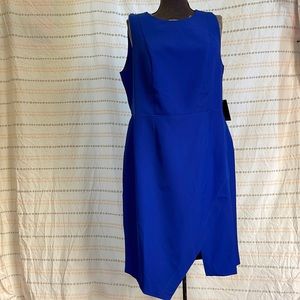 NWT blue fitted dress 😍